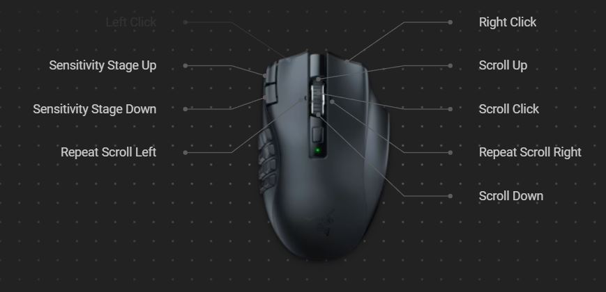 Picture of mouse viewed from top with the buttons labelled.